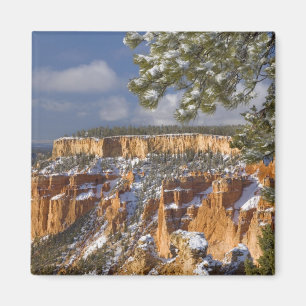 USA, Utah, Bryce Canyon National Park. Sunrise Magnet