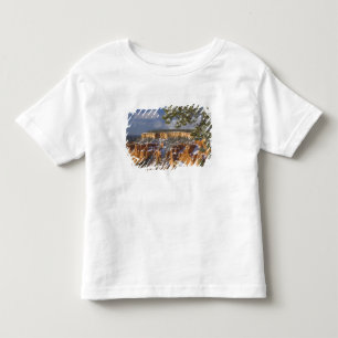USA, Utah, Bryce Canyon National Park. Sunrise Toddler T-Shirt