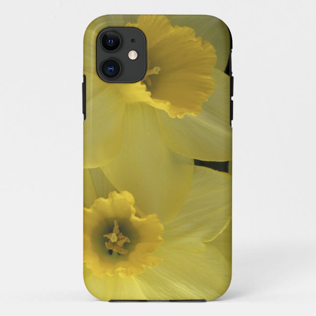 USA, Utah, Cache Valley Daffodils Case-Mate iPhone Case (Back)