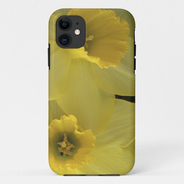 USA, Utah, Cache Valley Daffodils Case-Mate iPhone Case (Back)