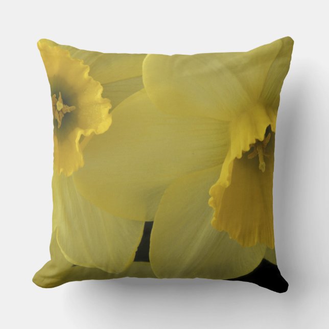 USA, Utah, Cache Valley Daffodils Cushion (Front)