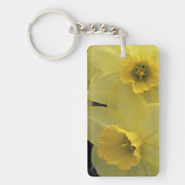 USA, Utah, Cache Valley Daffodils Key Ring (Front)