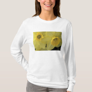 USA, Utah, Cache Valley Daffodils T-Shirt