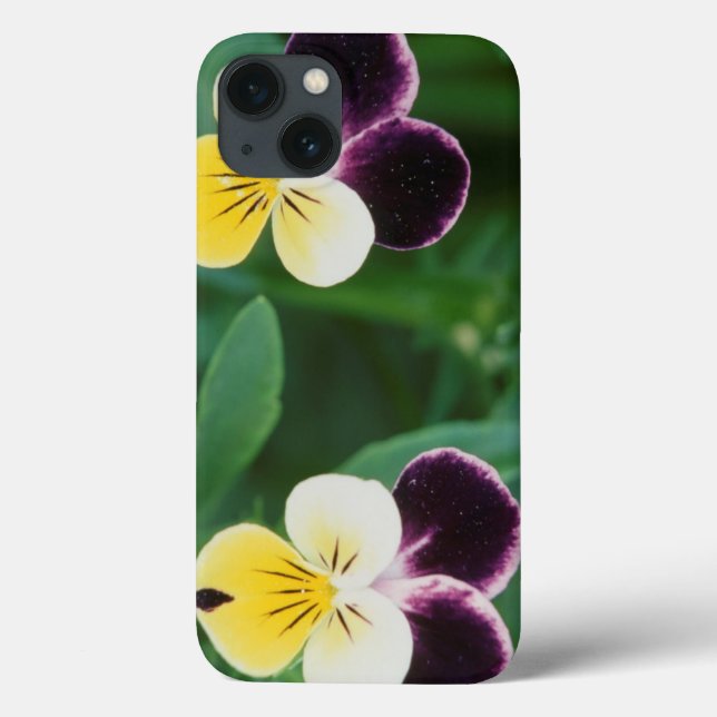 USA, Utah, Cache Valley, Johnny Jump Up Case-Mate iPhone Case (Back)