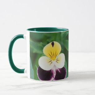 USA, Utah, Cache Valley, Johnny Jump Up Mug