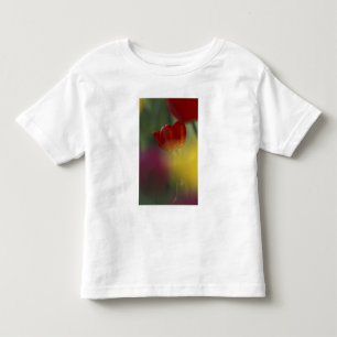 USA, Utah, Cache Valley Tulips in a garden Toddler T-Shirt