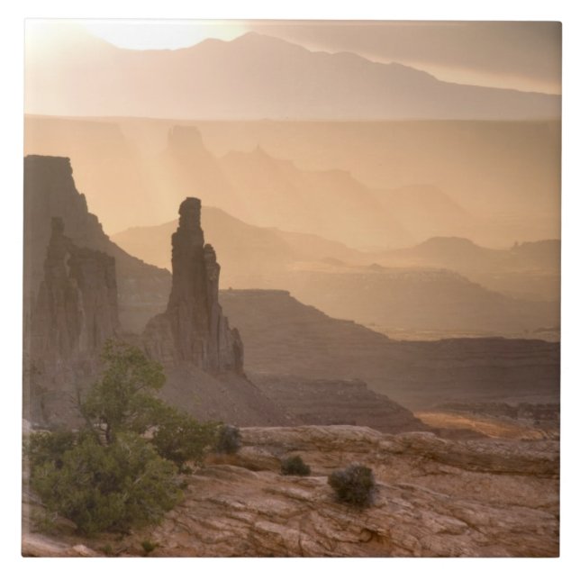 USA; Utah; Canyonlands National Park. View of Tile (Front)