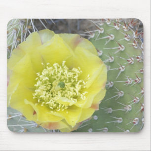 USA, Utah, Canyonlands, NP, Desert Prickly Pear Mouse Pad