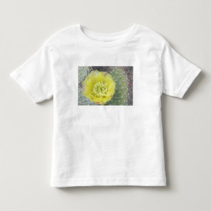 USA, Utah, Canyonlands, NP, Desert Prickly Pear Toddler T-Shirt