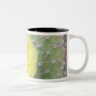 USA, Utah, Canyonlands, NP, Desert Prickly Pear Two-Tone Coffee Mug