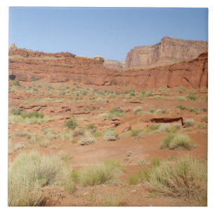 USA, Utah, Canyonlands NP, Shafer Canyon Ceramic Tile