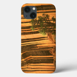 USA, Utah, Capitol Reef National Park iPhone 13 Case
