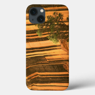 USA, Utah, Capitol Reef National Park iPhone 13 Case