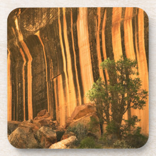 USA, Utah, Capitol Reef National Park Coaster