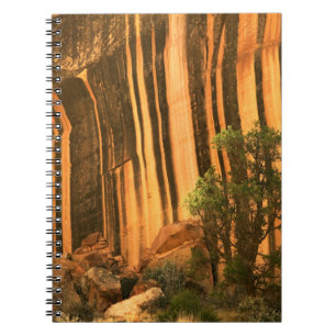 USA, Utah, Capitol Reef National Park Notebook