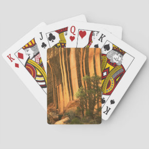 USA, Utah, Capitol Reef National Park Playing Cards