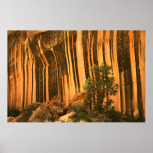 USA, Utah, Capitol Reef National Park Poster