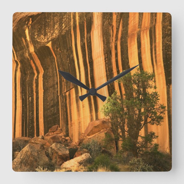 USA, Utah, Capitol Reef National Park Square Wall Clock (Front)