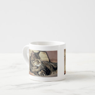 USA, Utah, Capitol Reef NP. Sleeping tabby cat Espresso Cup