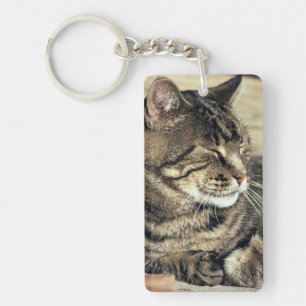 USA, Utah, Capitol Reef NP. Sleeping tabby cat Key Ring