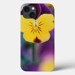USA, Utah, Close-Up of Viola tricolor in garden iPhone 13 Case