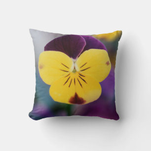 USA, Utah, Close-Up of Viola tricolor in garden Cushion