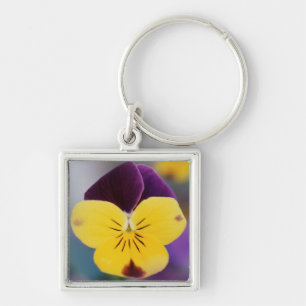USA, Utah, Close-Up of Viola tricolor in garden Key Ring
