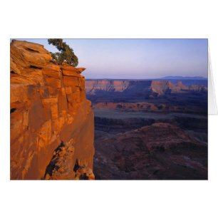 USA, Utah, Dead Horse Point SP. Late light turns