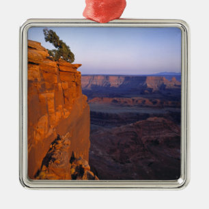 USA, Utah, Dead Horse Point SP. Late light turns Metal Tree Decoration