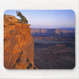 USA, Utah, Dead Horse Point SP. Late light turns Mouse Pad
