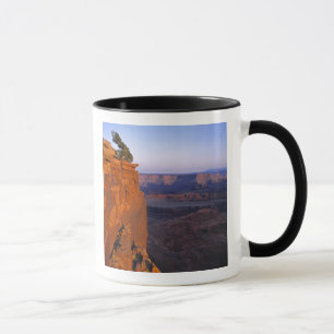 USA, Utah, Dead Horse Point SP. Late light turns Mug