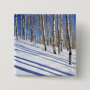 USA, Utah, Dixie National Forest, Aspen Grove 15 Cm Square Badge