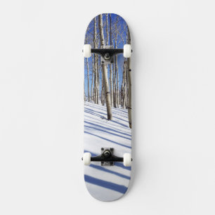 USA, Utah, Dixie National Forest, Aspen Grove Skateboard