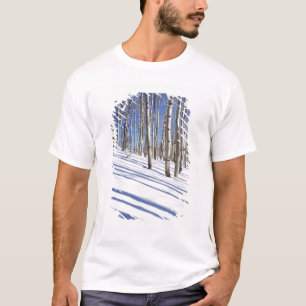USA, Utah, Dixie National Forest, Aspen Grove T-Shirt