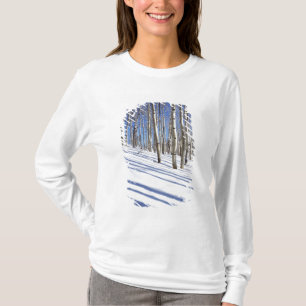 USA, Utah, Dixie National Forest, Aspen Grove T-Shirt