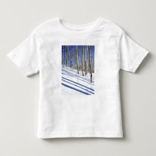 USA, Utah, Dixie National Forest, Aspen Grove Toddler T-Shirt
