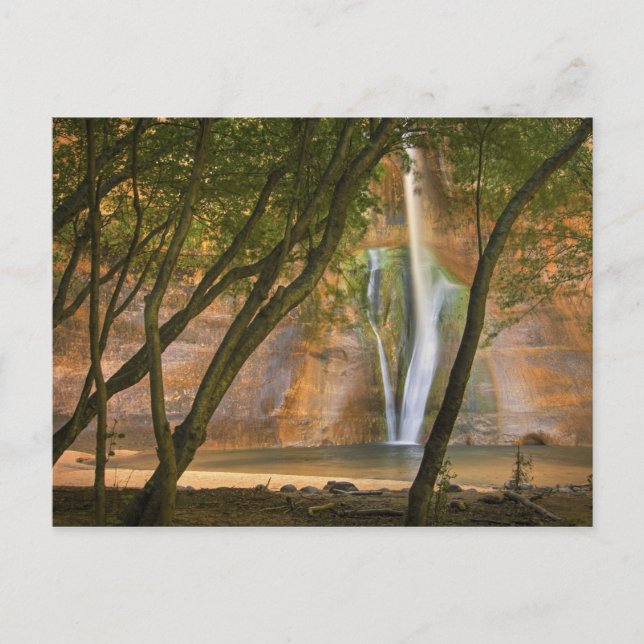 USA, Utah, Escalante Wilderness. A view of Postcard (Front)