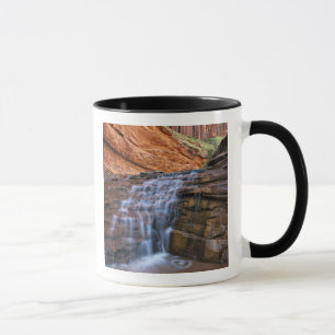 USA, Utah, Escalante Wilderness. Waterfall in Mug