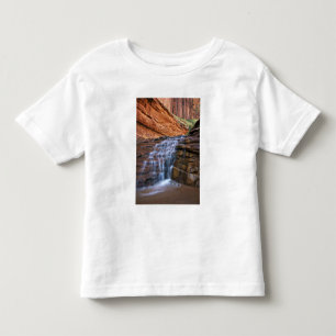 USA, Utah, Escalante Wilderness. Waterfall in Toddler T-Shirt
