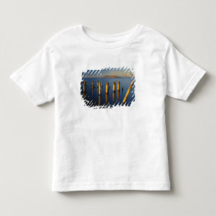 USA, Utah, Great Basin, Saltair, Great Salt Toddler T-Shirt