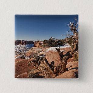USA, Utah, Moab. Canyonlands National Park, 15 Cm Square Badge