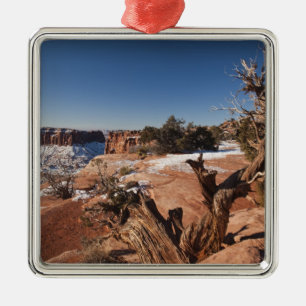 USA, Utah, Moab. Canyonlands National Park, Metal Tree Decoration