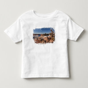 USA, Utah, Moab. Canyonlands National Park, Toddler T-Shirt