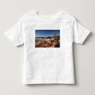 USA, Utah, Moab. Canyonlands National Park, Toddler T-Shirt