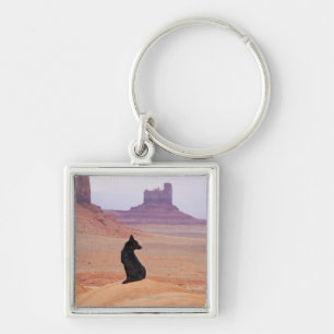 USA, Utah, Monument Valley, Dog sitting on rock Key Ring