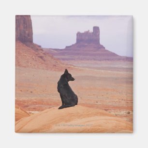 USA, Utah, Monument Valley, Dog sitting on rock Magnet