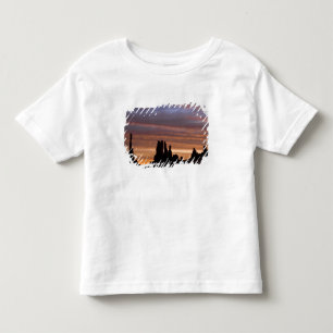 USA, Utah, Monument Valley National Park. 2 Toddler T-Shirt