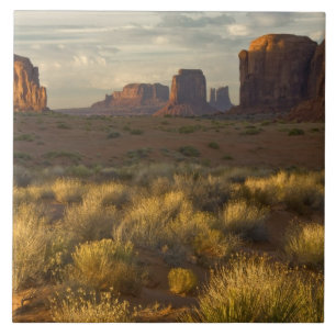 USA, Utah, Monument Valley National Park. Tile