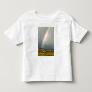 USA, Utah, Monument Valley Navajo Tribal Park. 2 Toddler T-Shirt