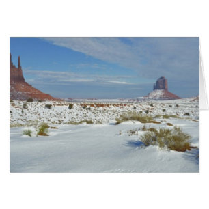USA, Utah, Monument Valley. Sagebrush shows